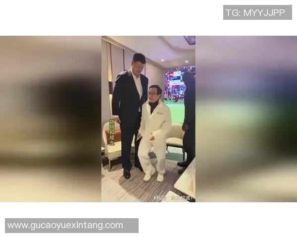 成龙与姚明的实力对比：他们在各自领域的巅峰成就与影响力分析