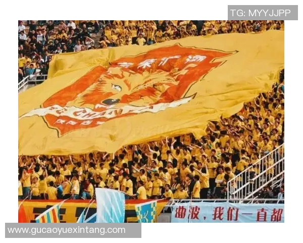 重庆足球队的崛起与发展探索聚焦球队力量与未来潜力